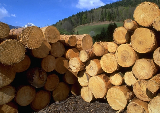 美国板业协会到访中国木材与木制品流通协会
